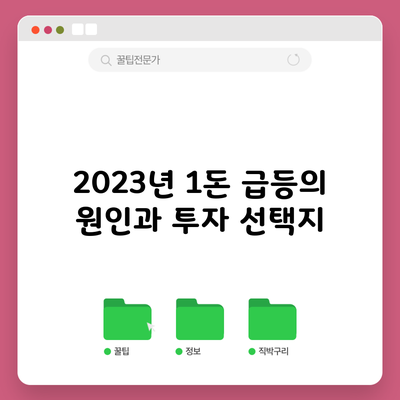 2023년 1돈 급등의 원인과 투자 선택지