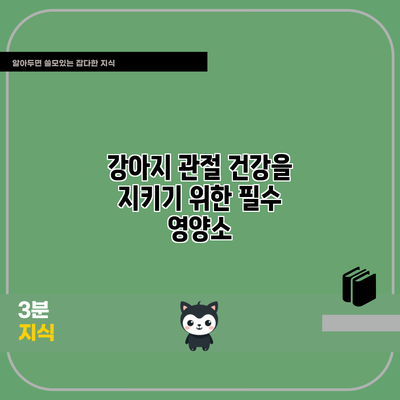 강아지 관절 건강을 지키기 위한 필수 영양소