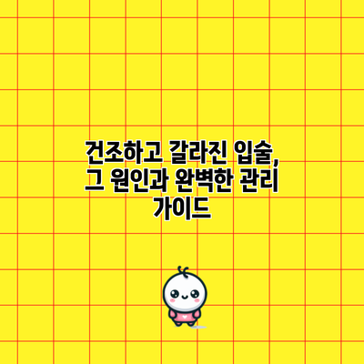 건조하고 갈라진 입술, 그 원인과 완벽한 관리 가이드