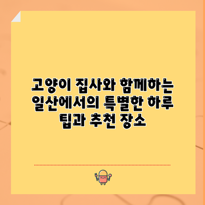 고양이 집사와 함께하는 일산에서의 특별한 하루: 팁과 추천 장소