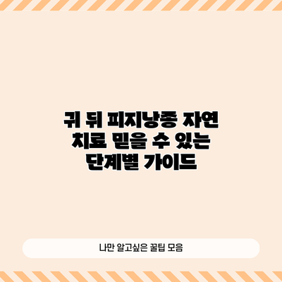 귀 뒤 피지낭종 자연 치료: 믿을 수 있는 단계별 가이드