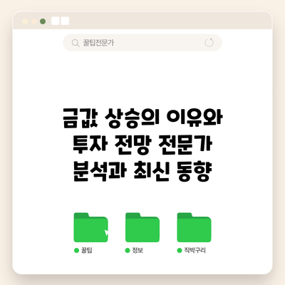 금값 상승의 이유와 투자 전망: 전문가 분석과 최신 동향