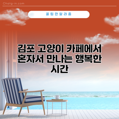김포 고양이 카페에서 혼자서 만나는 행복한 시간
