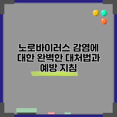 노로바이러스 감염에 대한 완벽한 대처법과 예방 지침