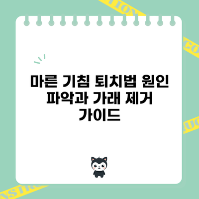 마른 기침 퇴치법: 원인 파악과 가래 제거 가이드