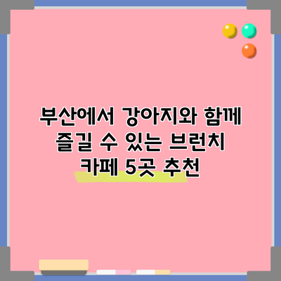 부산에서 강아지와 함께 즐길 수 있는 브런치 카페 5곳 추천