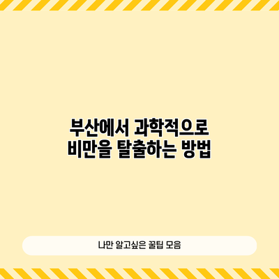 부산에서 과학적으로 비만을 탈출하는 방법
