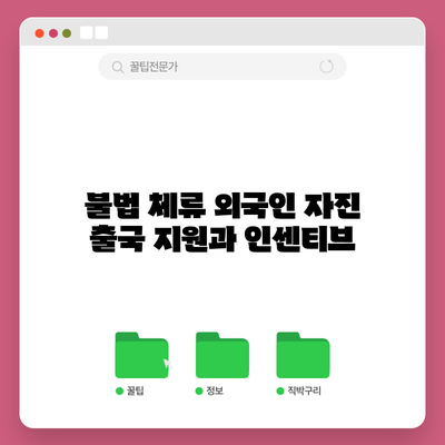 불법 체류 외국인 자진 출국 지원과 인센티브