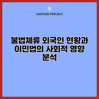 불법체류 외국인 현황과 이민법의 사회적 영향 분석