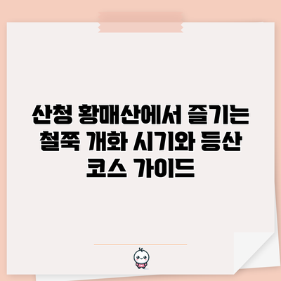 산청 황매산에서 즐기는 철쭉 개화 시기와 등산 코스 가이드