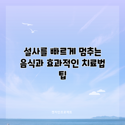 설사를 빠르게 멈추는 음식과 효과적인 치료법 팁