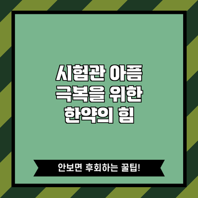 시험관 아픔 극복을 위한 한약의 힘