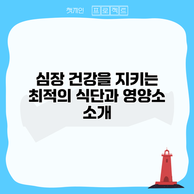심장 건강을 지키는 최적의 식단과 영양소 소개