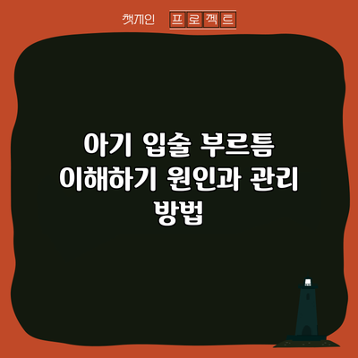 아기 입술 부르틈 이해하기: 원인과 관리 방법