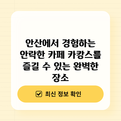안산에서 경험하는 안락한 카페: 카캉스를 즐길 수 있는 완벽한 장소