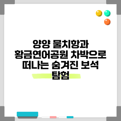 양양 물치항과 황금연어공원: 차박으로 떠나는 숨겨진 보석 탐험