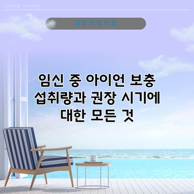 임신 중 아이언 보충: 섭취량과 권장 시기에 대한 모든 것