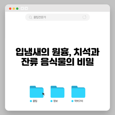 입냄새의 원흉, 치석과 잔류 음식물의 비밀