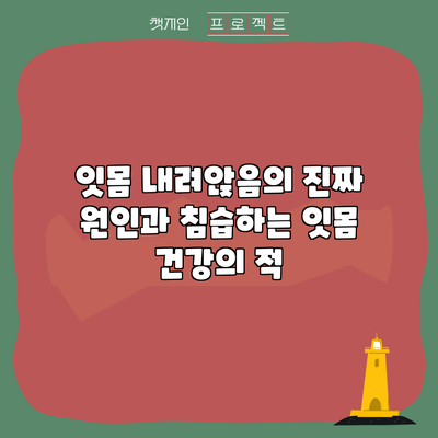 잇몸 내려앉음의 진짜 원인과 침습하는 잇몸 건강의 적