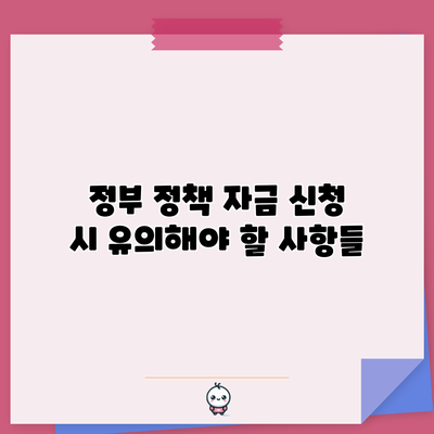 정부 정책 자금 신청 시 유의해야 할 사항들
