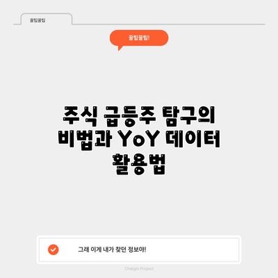 주식 급등주 탐구의 비법과 YoY 데이터 활용법