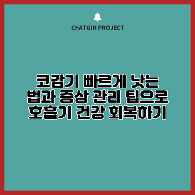 코감기 빠르게 낫는 법과 증상 관리 팁으로 호흡기 건강 회복하기