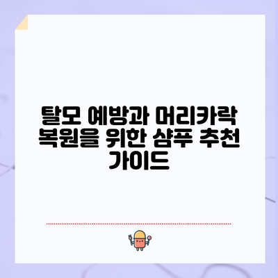 탈모 예방과 머리카락 복원을 위한 샴푸 추천 가이드