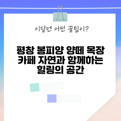 평창 봉피양 양떼 목장 카페: 자연과 함께하는 힐링의 공간