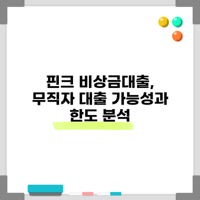 핀크 비상금대출, 무직자 대출 가능성과 한도 분석