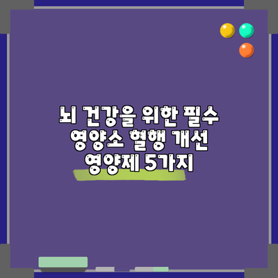 뇌 건강을 위한 필수 영양소: 혈행 개선 영양제 5가지