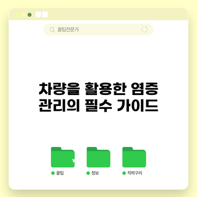 차량을 활용한 염증 관리의 필수 가이드