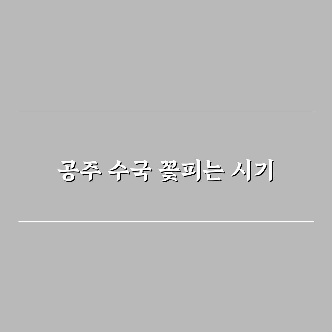 공주 수국 개화시기와 관리 꿀팁 쉽게 정리